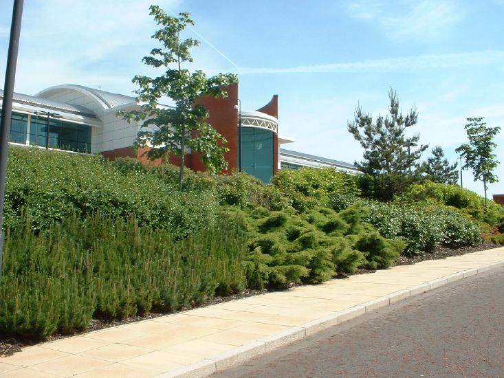 Daresbury Park
